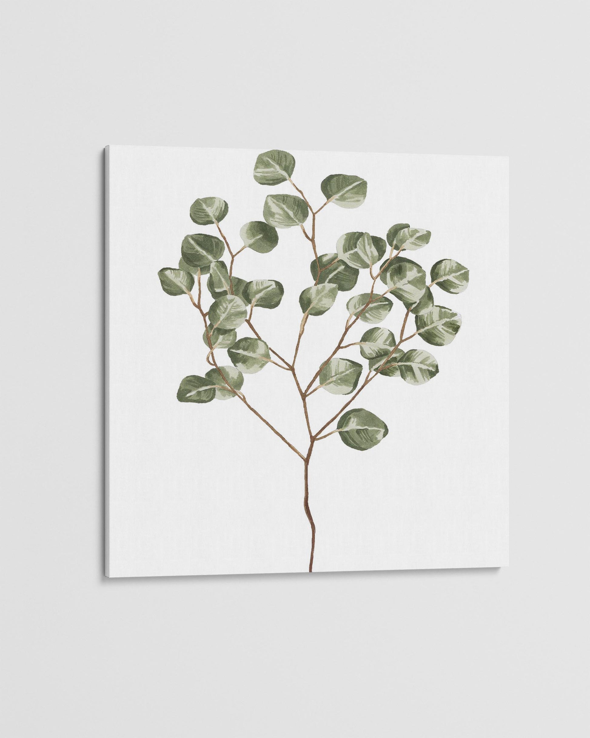 Framed artwork of a eucalyptus branch on a white background