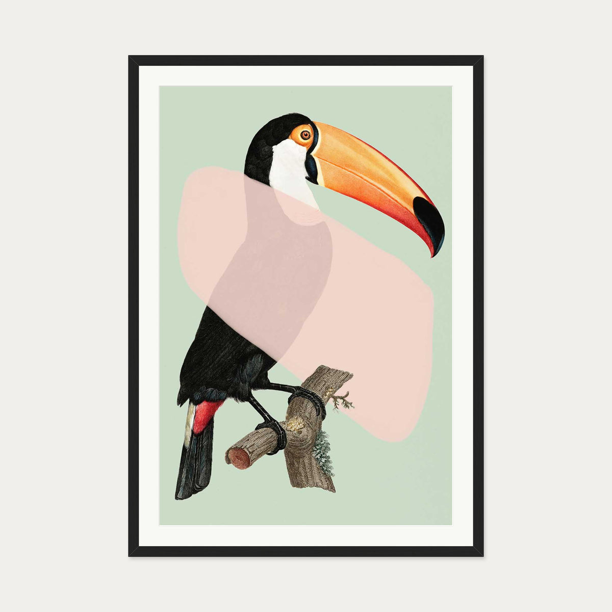 Mint Toucan In Blush Pop Art Print — 70 x 100 cm — Black Frame