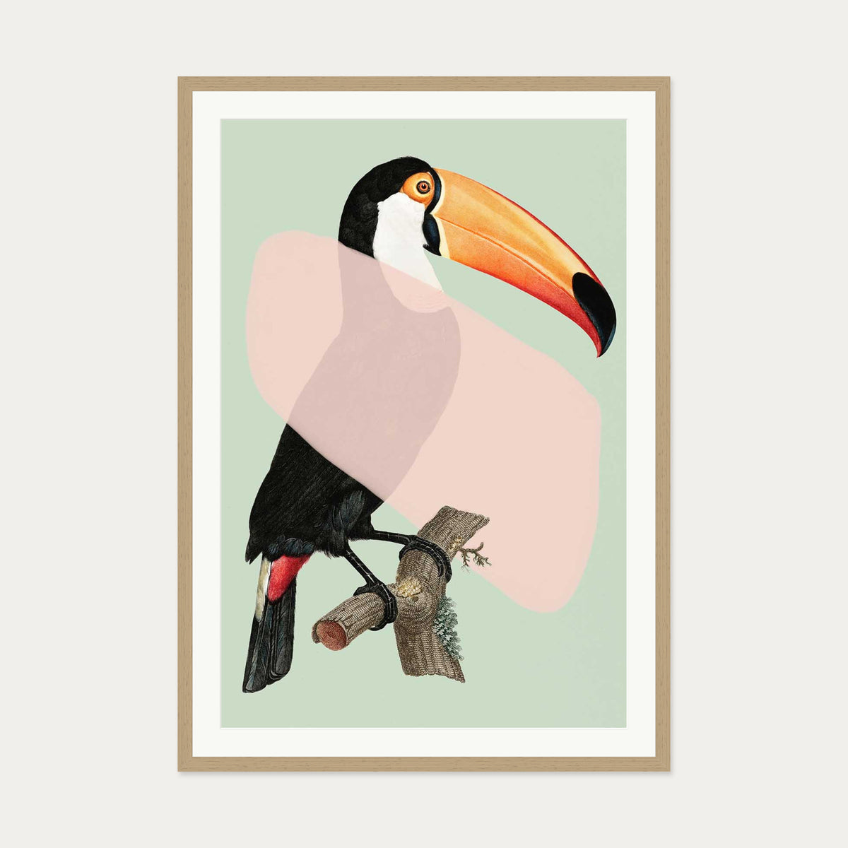 Mint Toucan In Blush Pop Art Print — 70 x 100 cm — Oak Frame