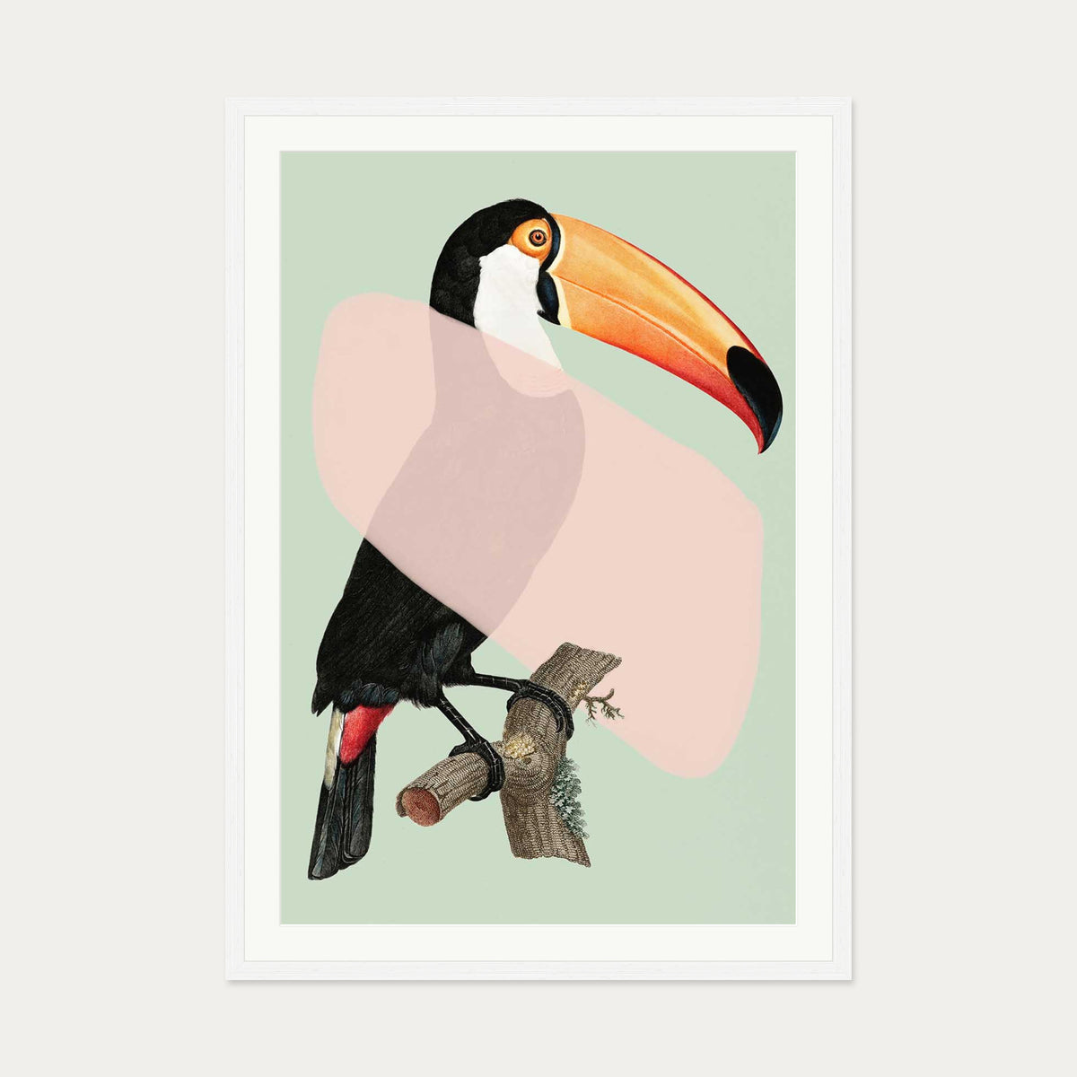 Mint Toucan In Blush Pop Art Print — 70 x 100 cm — White Frame