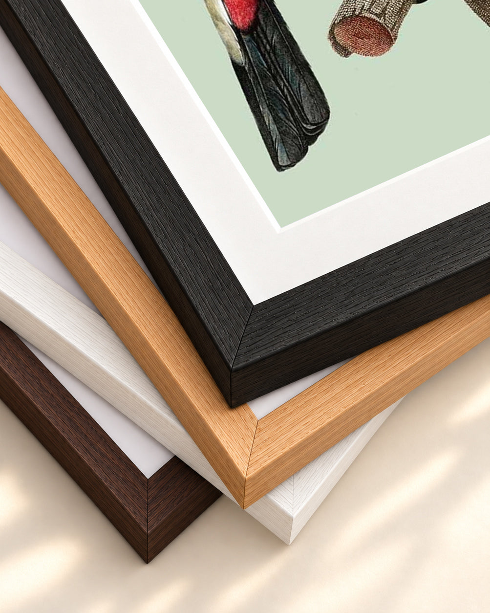 Mint Toucan In Blush Pop Art Print — framed print corner with 5 cm mount and bevel