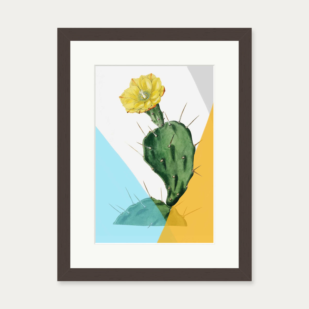 Modern Blooming Cactus Art Print — 30 x 40 cm — Brown Frame