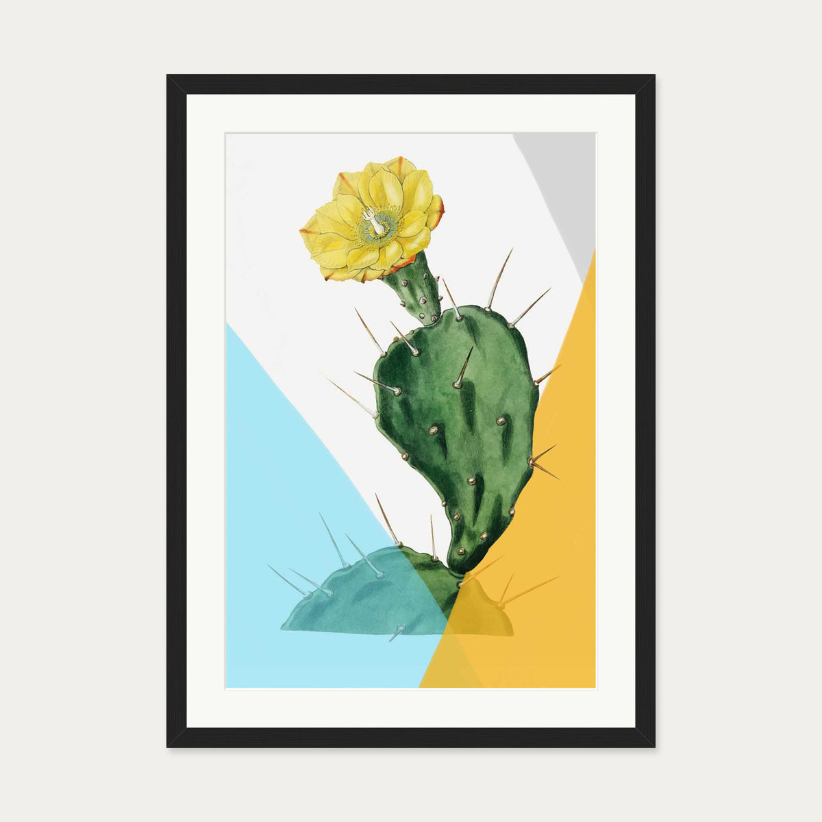 Modern Blooming Cactus Art Print — 50 x 70 cm — Black Frame