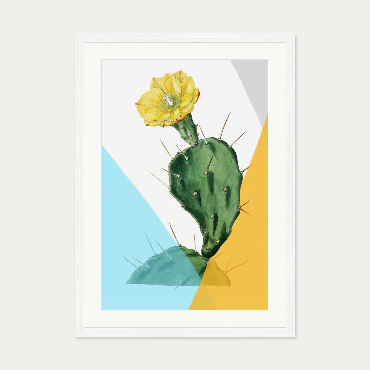 Modern Blooming Cactus Art Print — 50 x 70 cm — White Frame