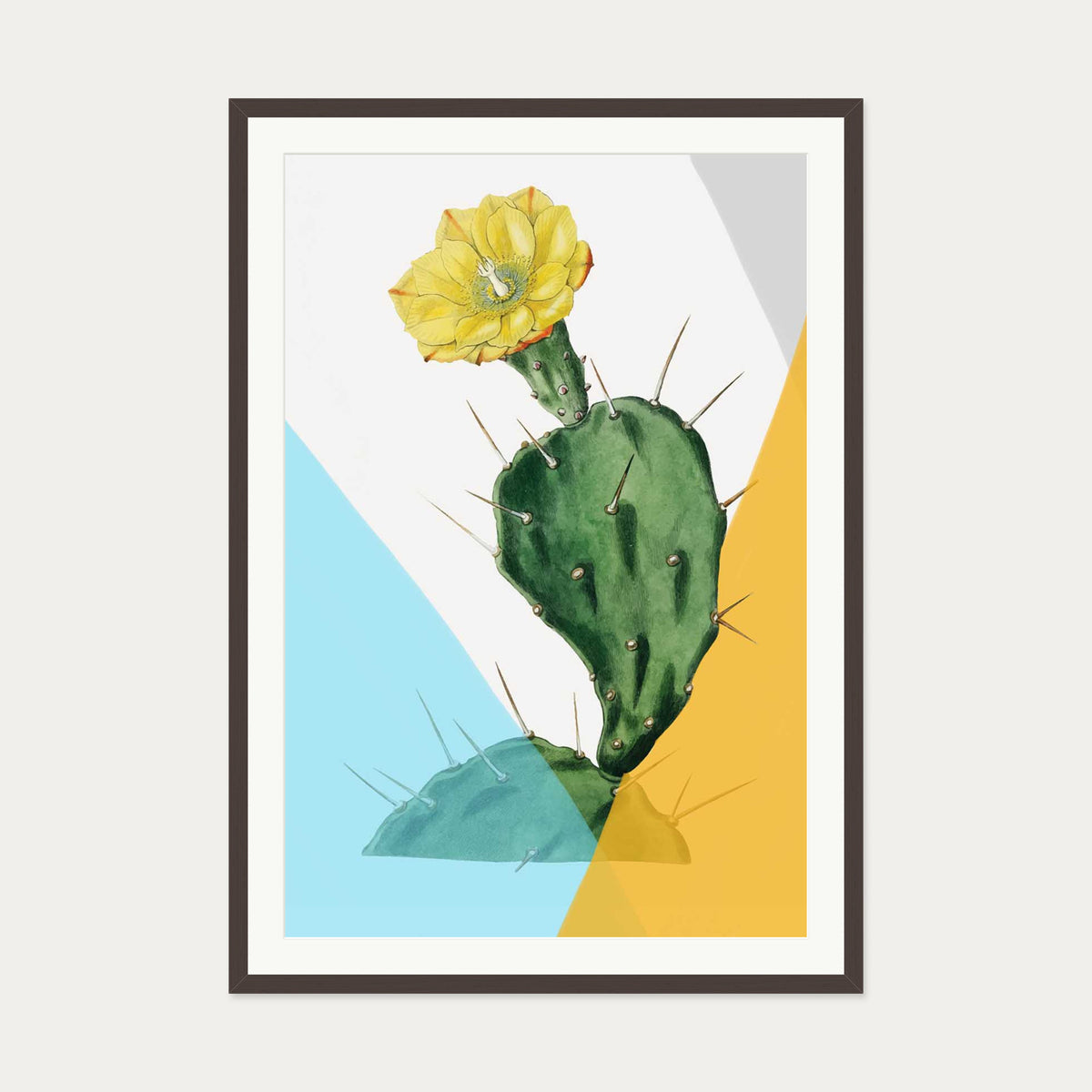 Modern Blooming Cactus Art Print — 70 x 100 cm — Brown Frame