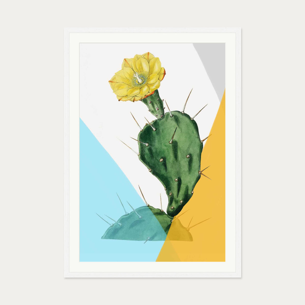 Modern Blooming Cactus Art Print — 70 x 100 cm — White Frame