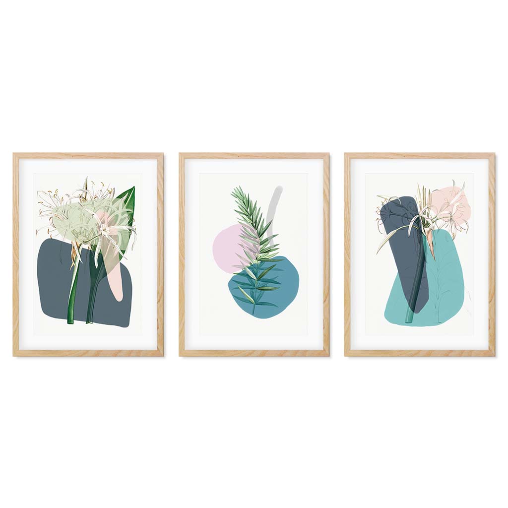 Modern Botanical Abstracts - Set Of 3 Prints