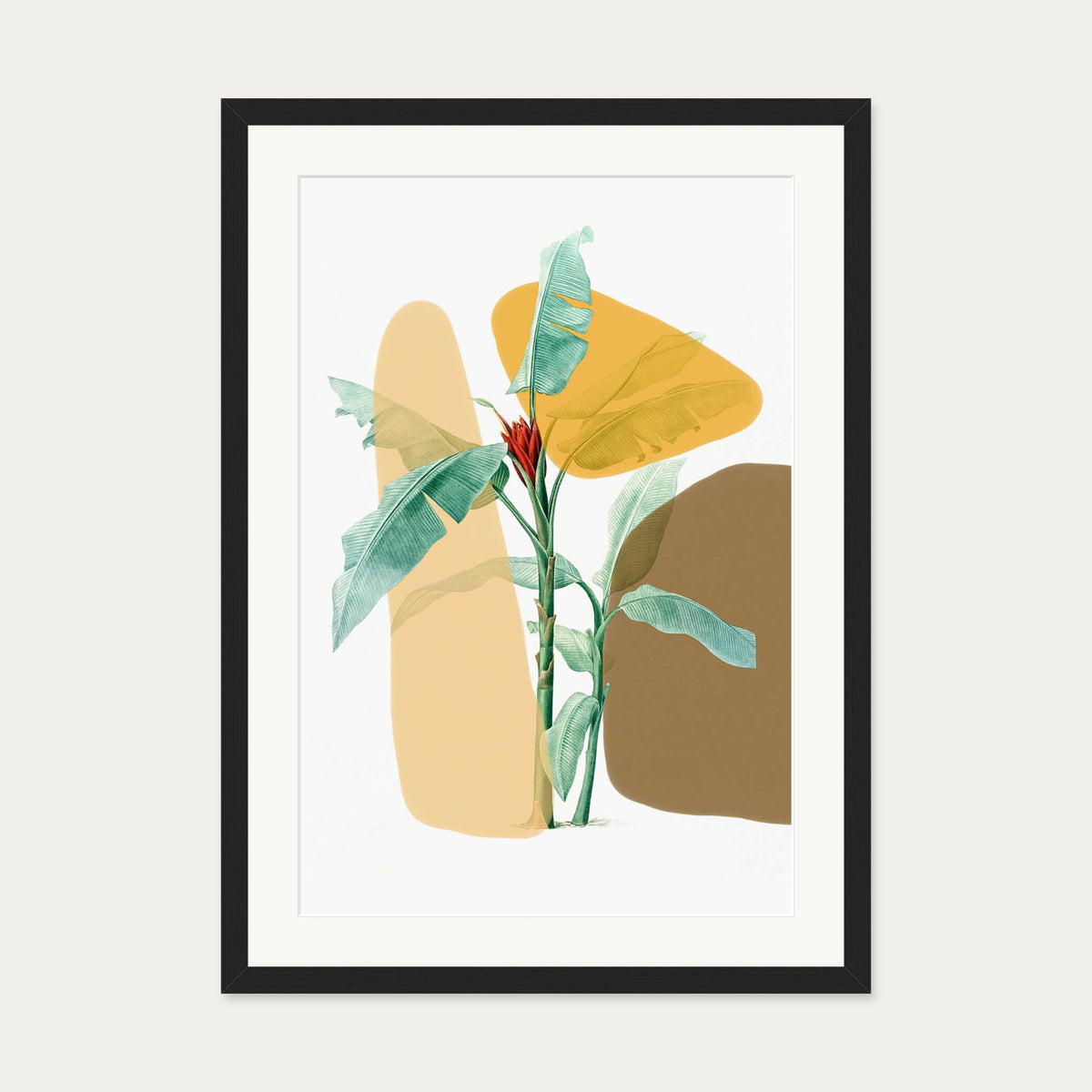 Modern Botanical Illustration Art Print — 50 x 70 cm — Black Frame