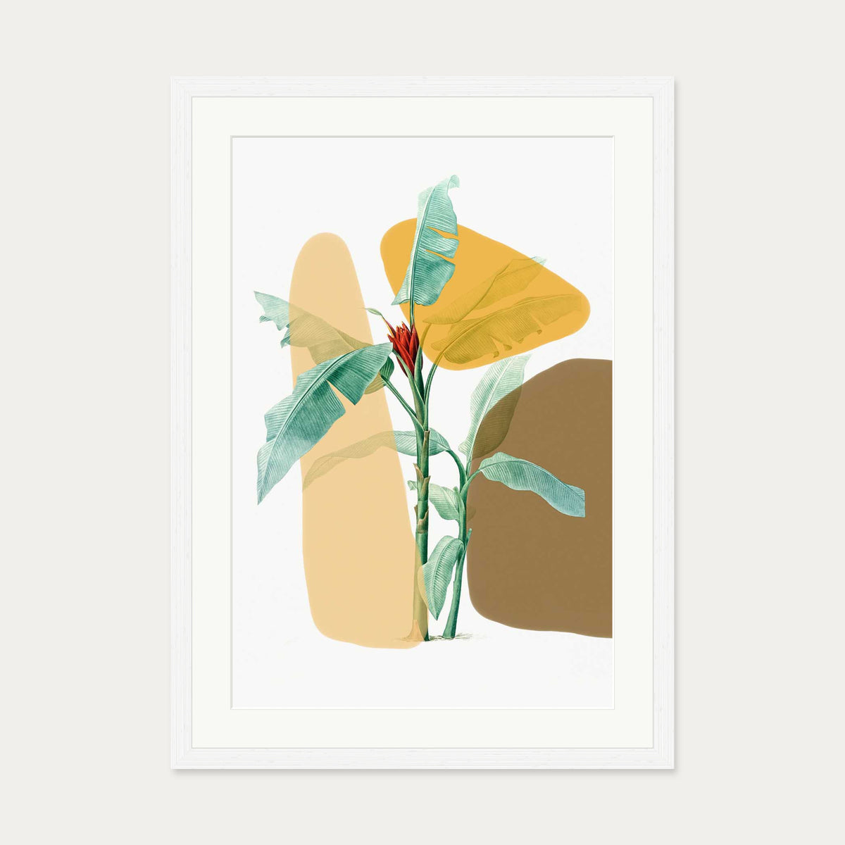 Modern Botanical Illustration Art Print — 50 x 70 cm — White Frame