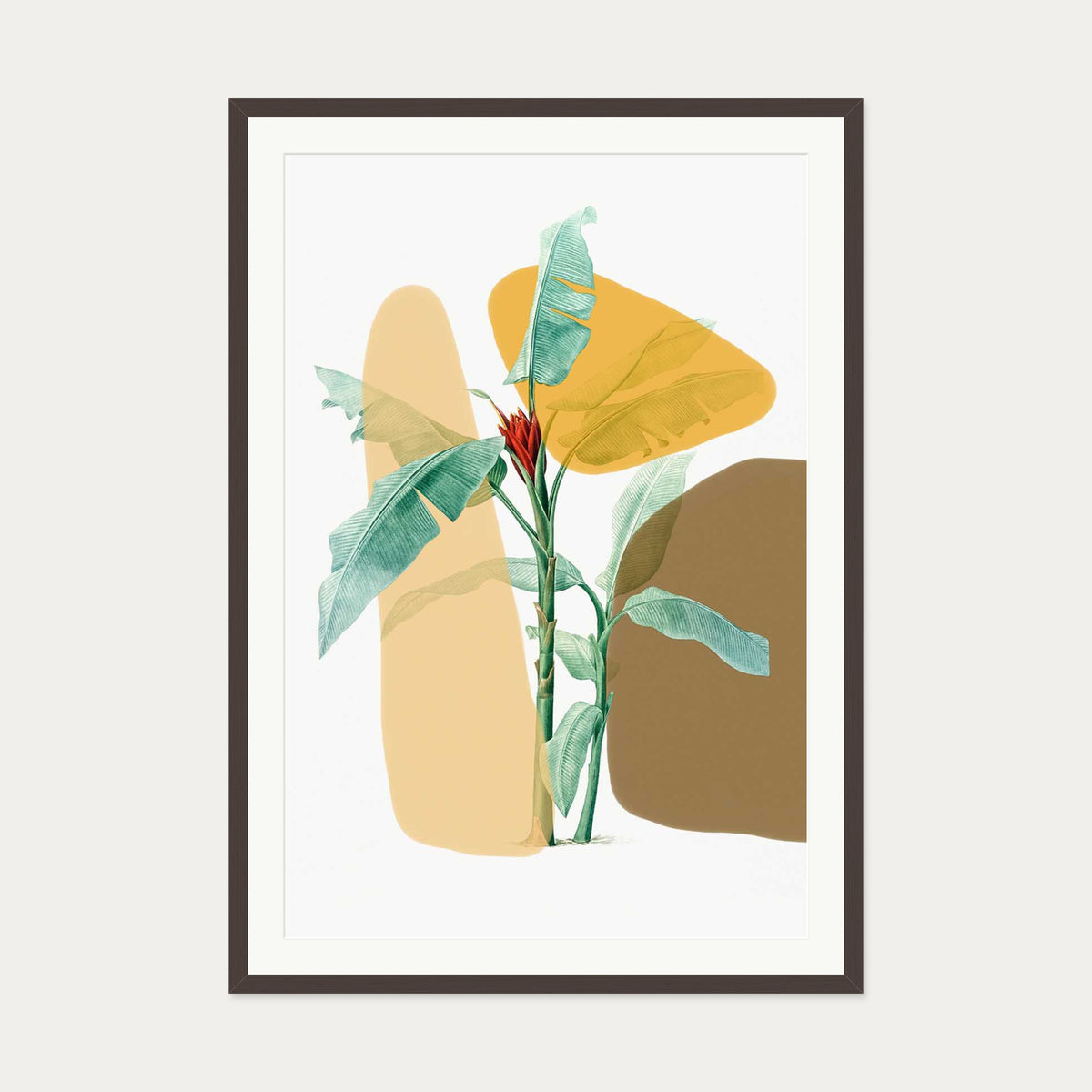 Modern Botanical Illustration Art Print — 70 x 100 cm — Brown Frame