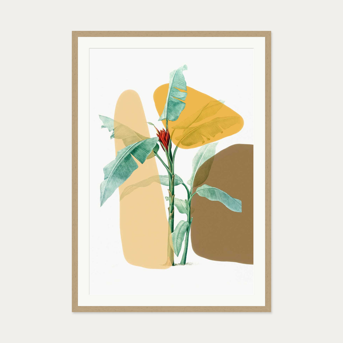 Modern Botanical Illustration Art Print — 70 x 100 cm — Oak Frame