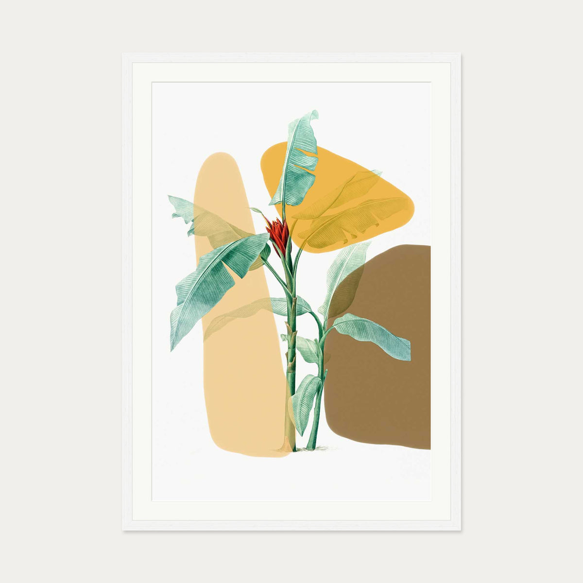 Modern Botanical Illustration Art Print — 70 x 100 cm — White Frame