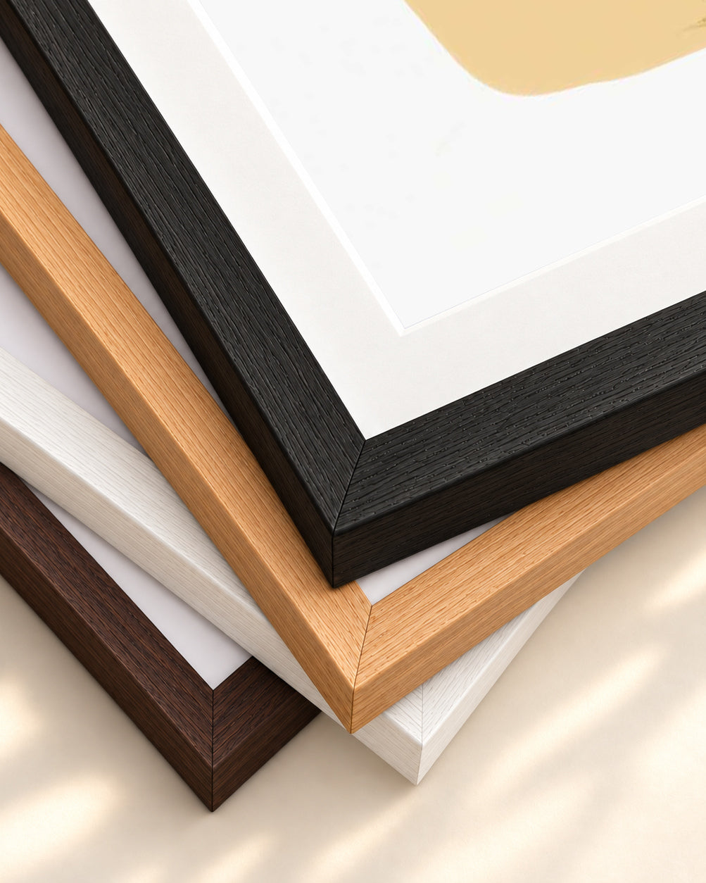 Modern Botanical Illustration Art Print — framed print corner with 5 cm mount and bevel