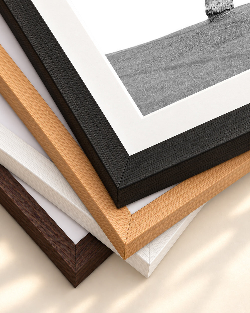 Monochrome Palms Wall Art Print — framed print corner with 5 cm mount and bevel