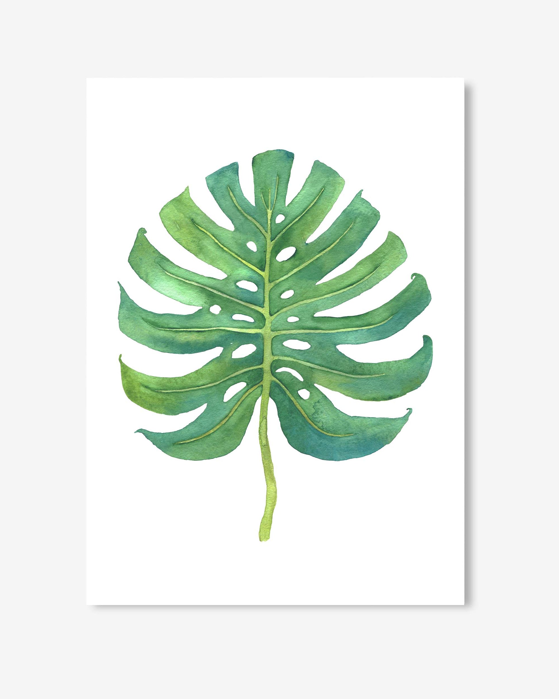 watercolour monster leaf art print on paper