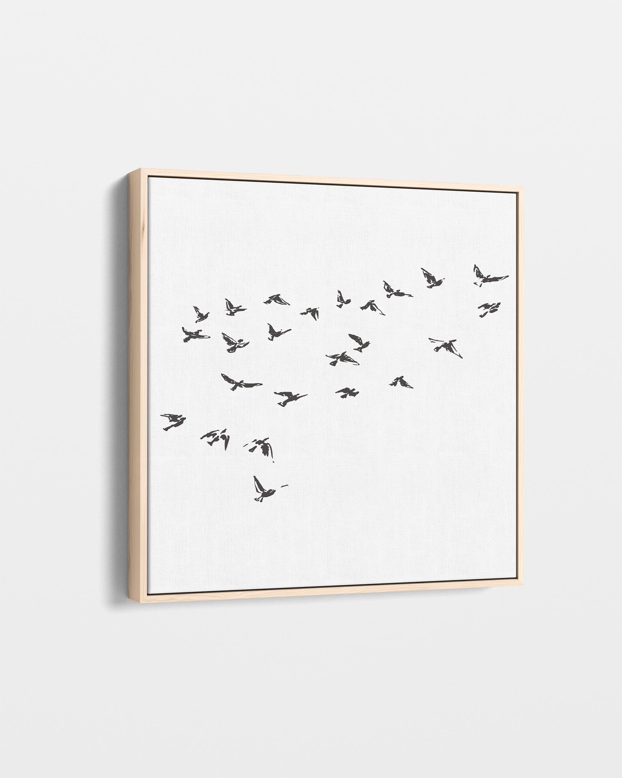 Grey Bird Sketches Canvas Art