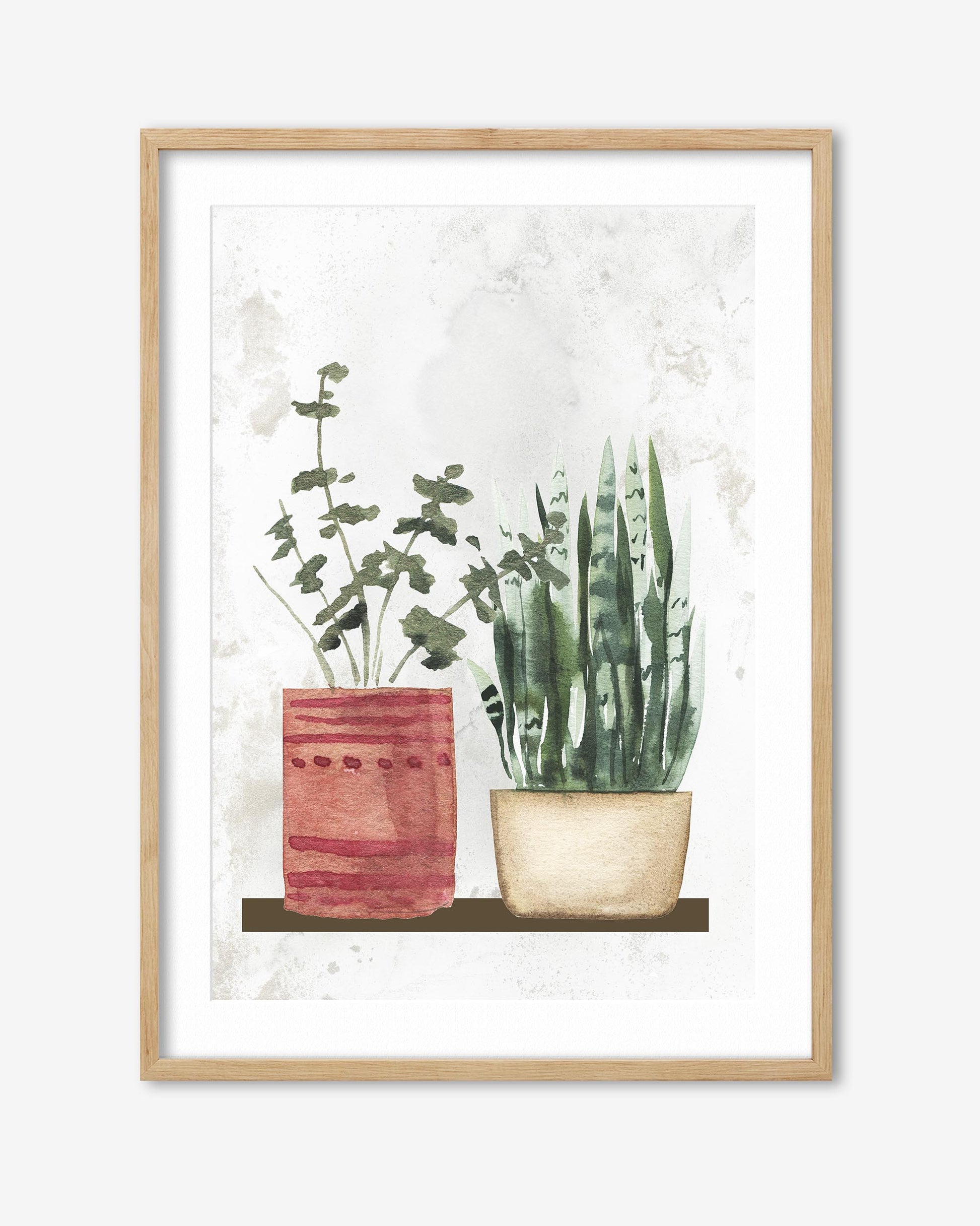 botanical plans in pots watercolour artwork in a oak frame