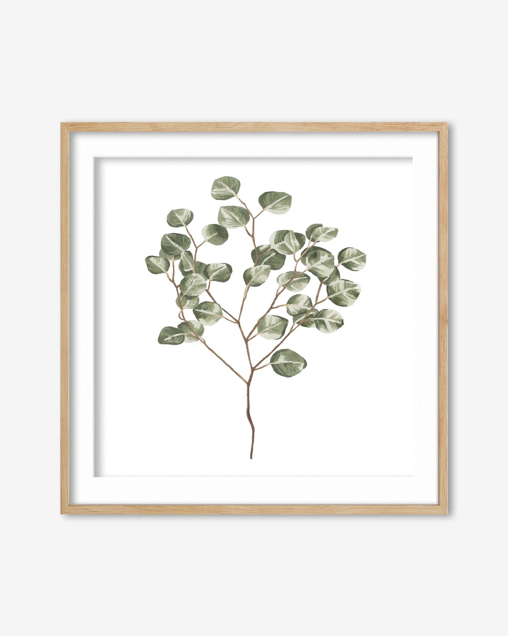 Framed artwork of a eucalyptus branch on a white background