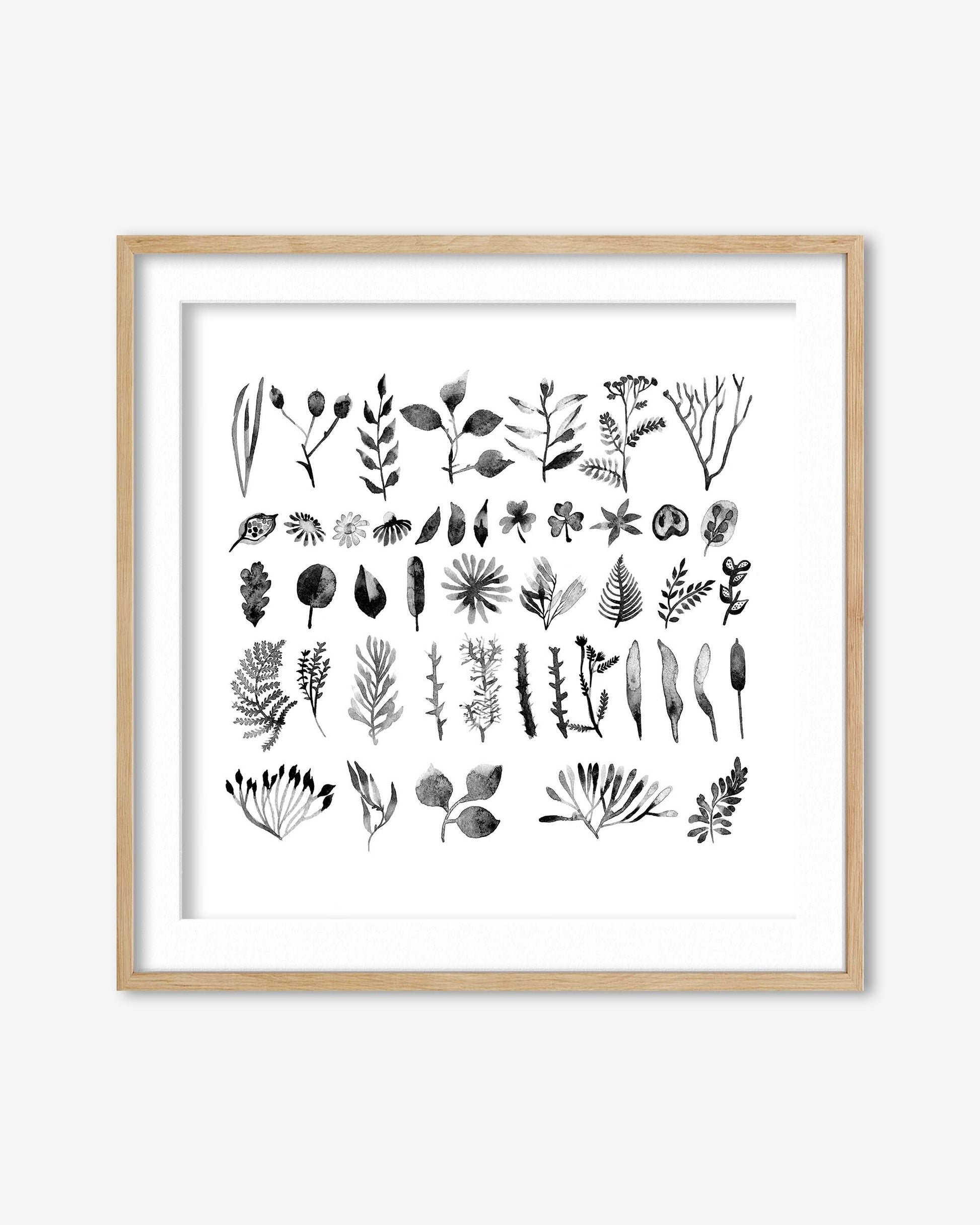 Framed artwork with black botanical illustrations on a white background