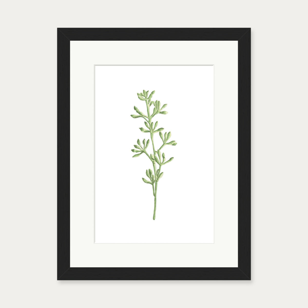 Pale Green Stem Art Print — 30 x 40 cm — Black Frame