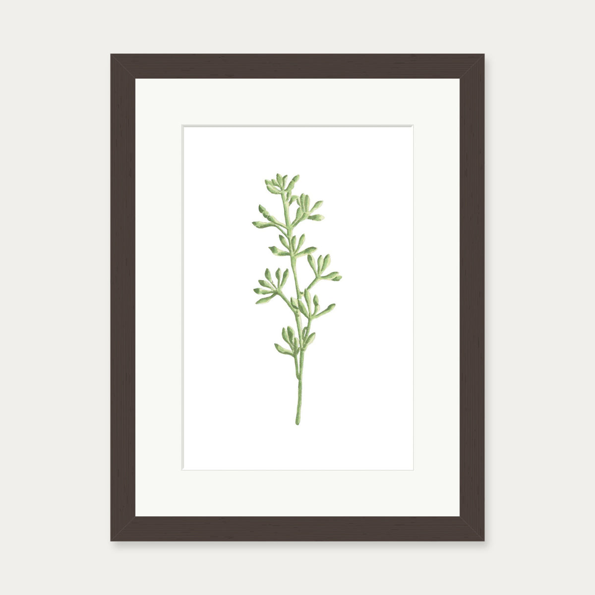 Pale Green Stem Art Print — 30 x 40 cm — Brown Frame