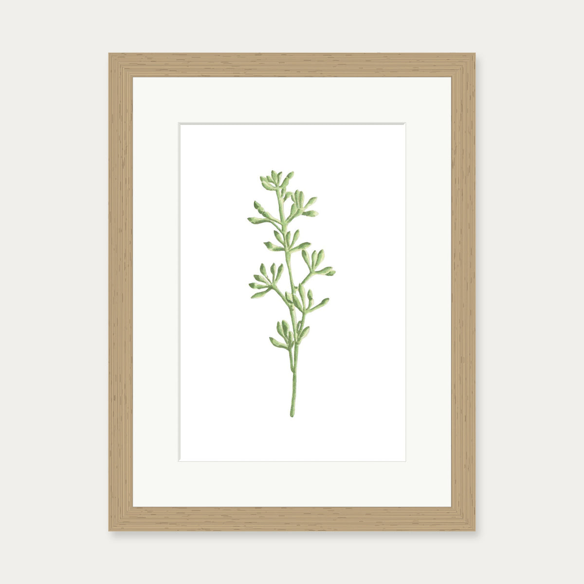 Pale Green Stem Art Print — 30 x 40 cm — Oak Frame