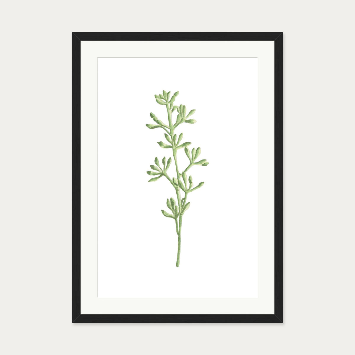 Pale Green Stem Art Print — 50 x 70 cm — Black Frame