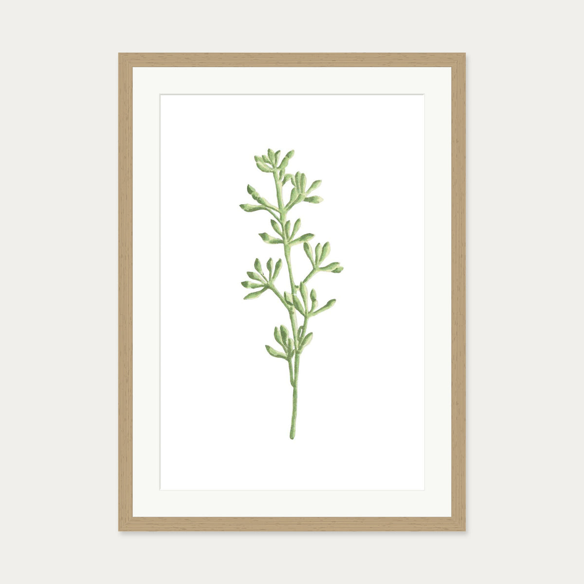 Pale Green Stem Art Print — 50 x 70 cm — Oak Frame