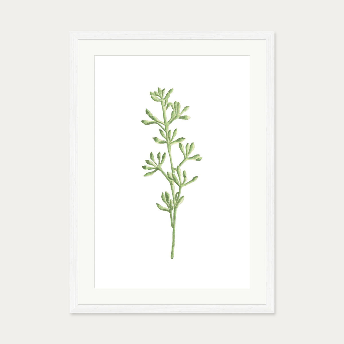 Pale Green Stem Art Print — 50 x 70 cm — White Frame