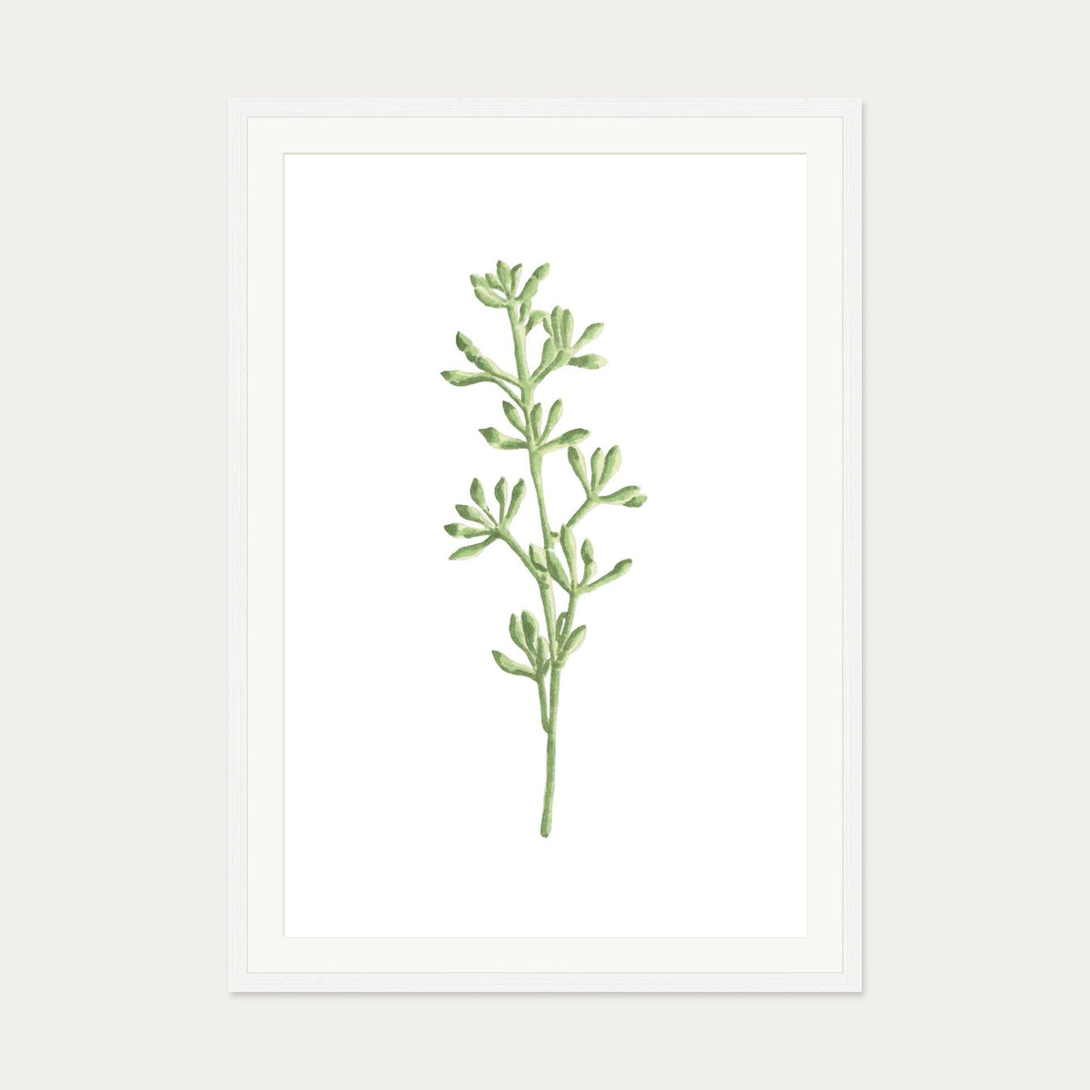 Pale Green Stem Art Print — 70 x 100 cm — White Frame