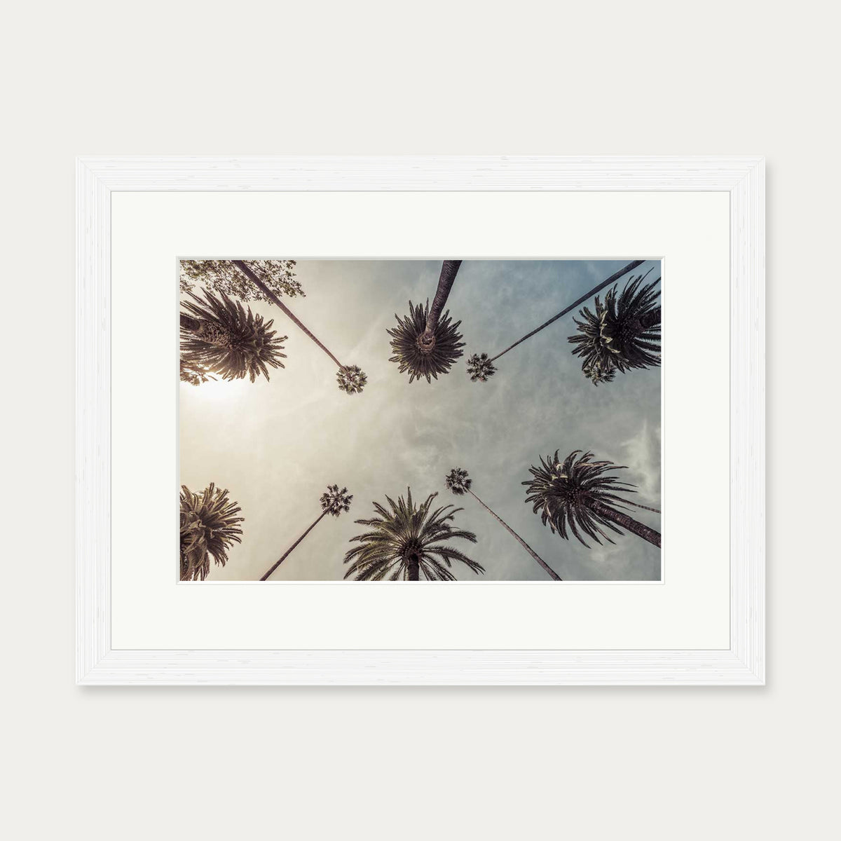 Palm Tree View Wall Art Print — 30 x 40 cm — White Frame
