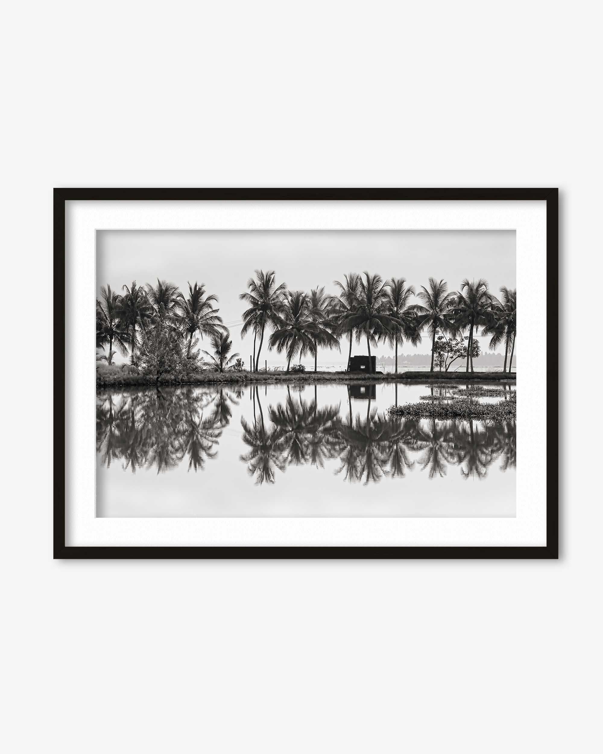 Palm Trees Reflection Art Print