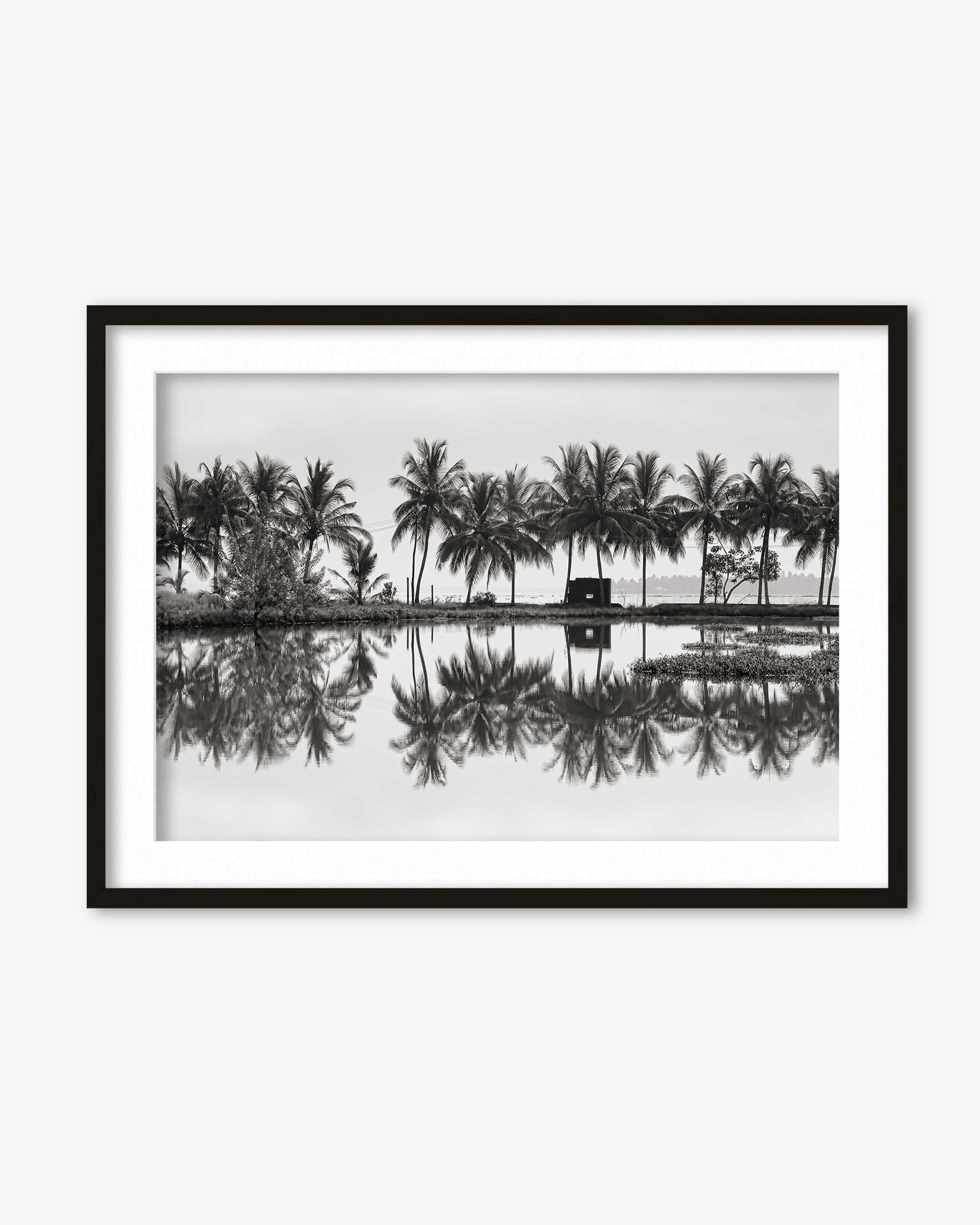 Framed black and white photograph of palm trees reflected in water
