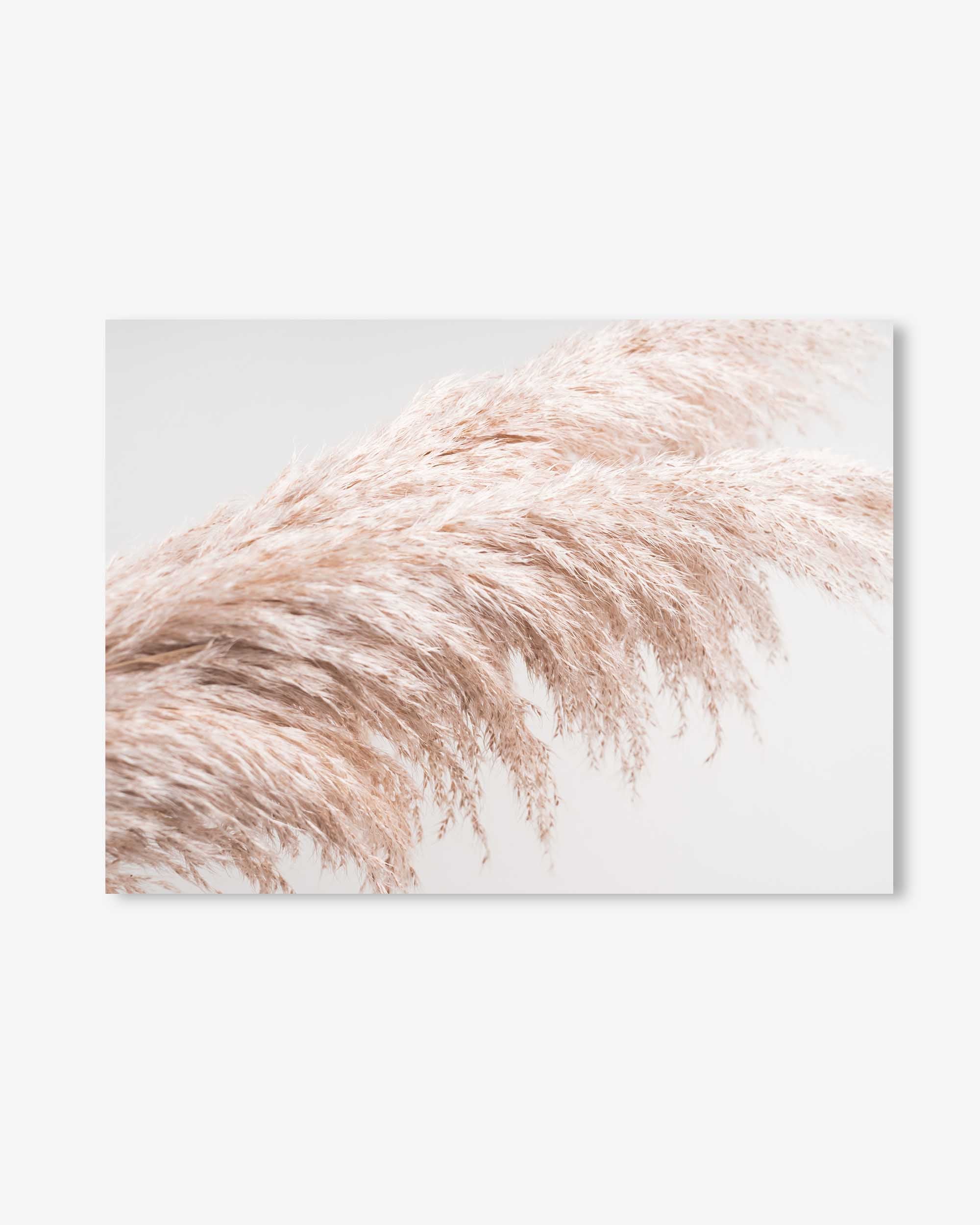 Pampass II Wall Art Print