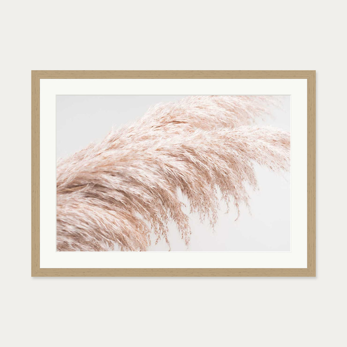 Pampass II Wall Art Print — 50 x 70 cm — Oak Frame