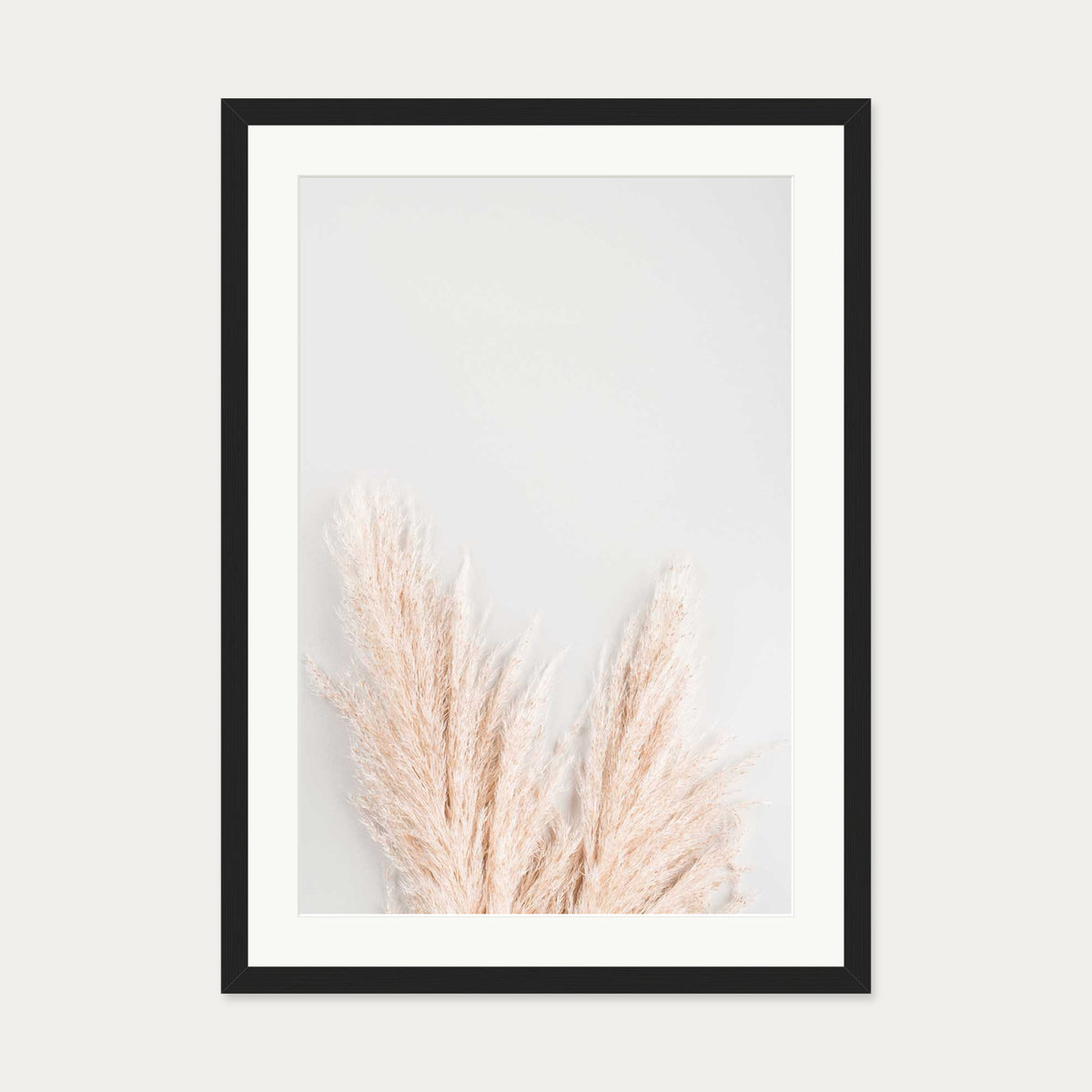 Pampass Wall Art Print — 50 x 70 cm — Black Frame