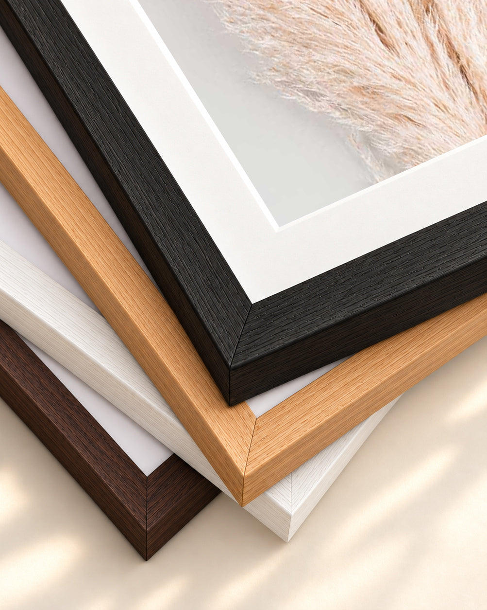 Pampass Wall Art Print — framed print corner with 5 cm mount and bevel