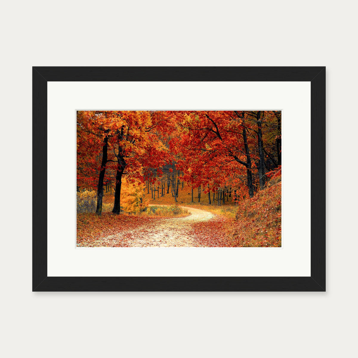 Park In The Autumn Art Print — 30 x 40 cm — Black Frame