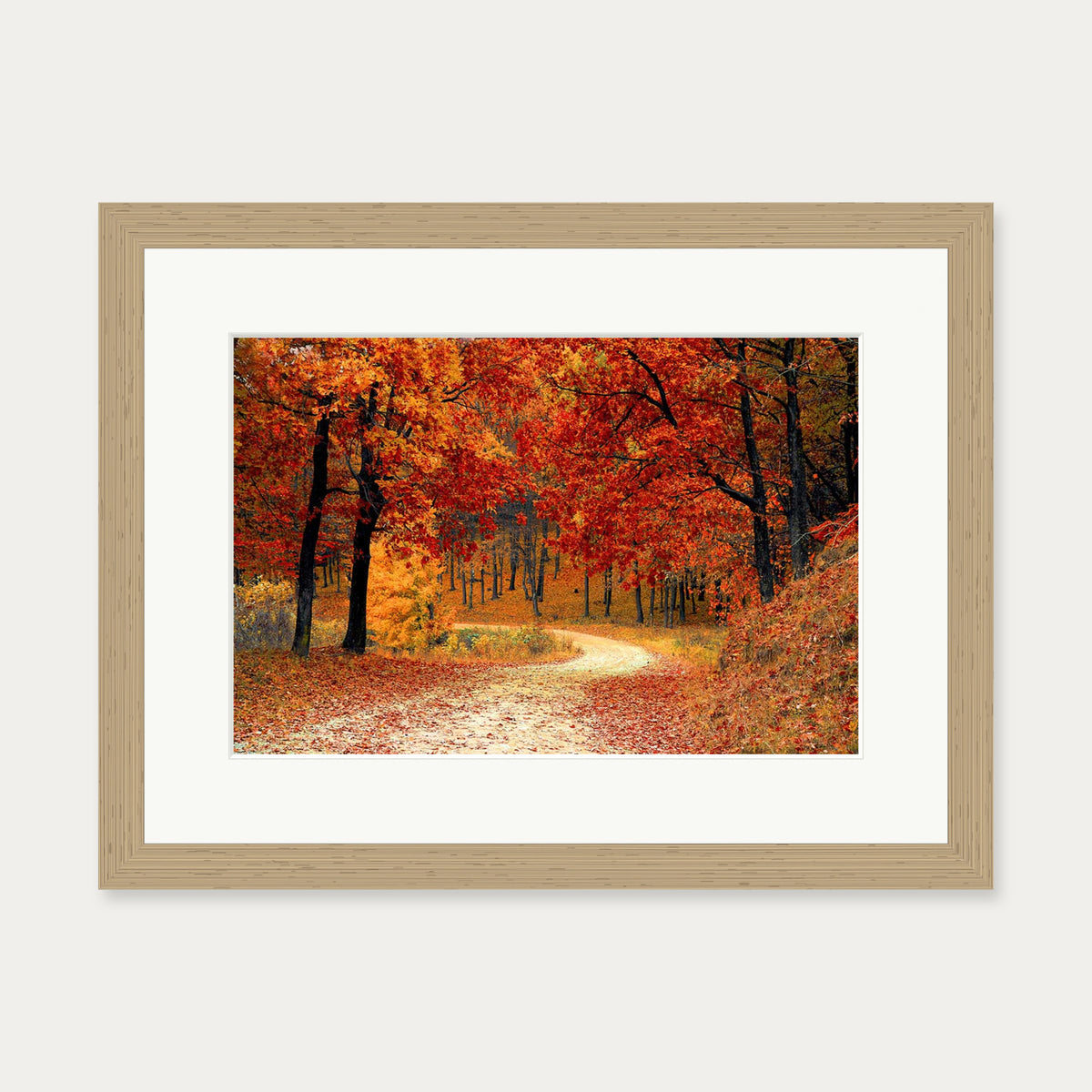 Park In The Autumn Art Print — 30 x 40 cm — Oak Frame