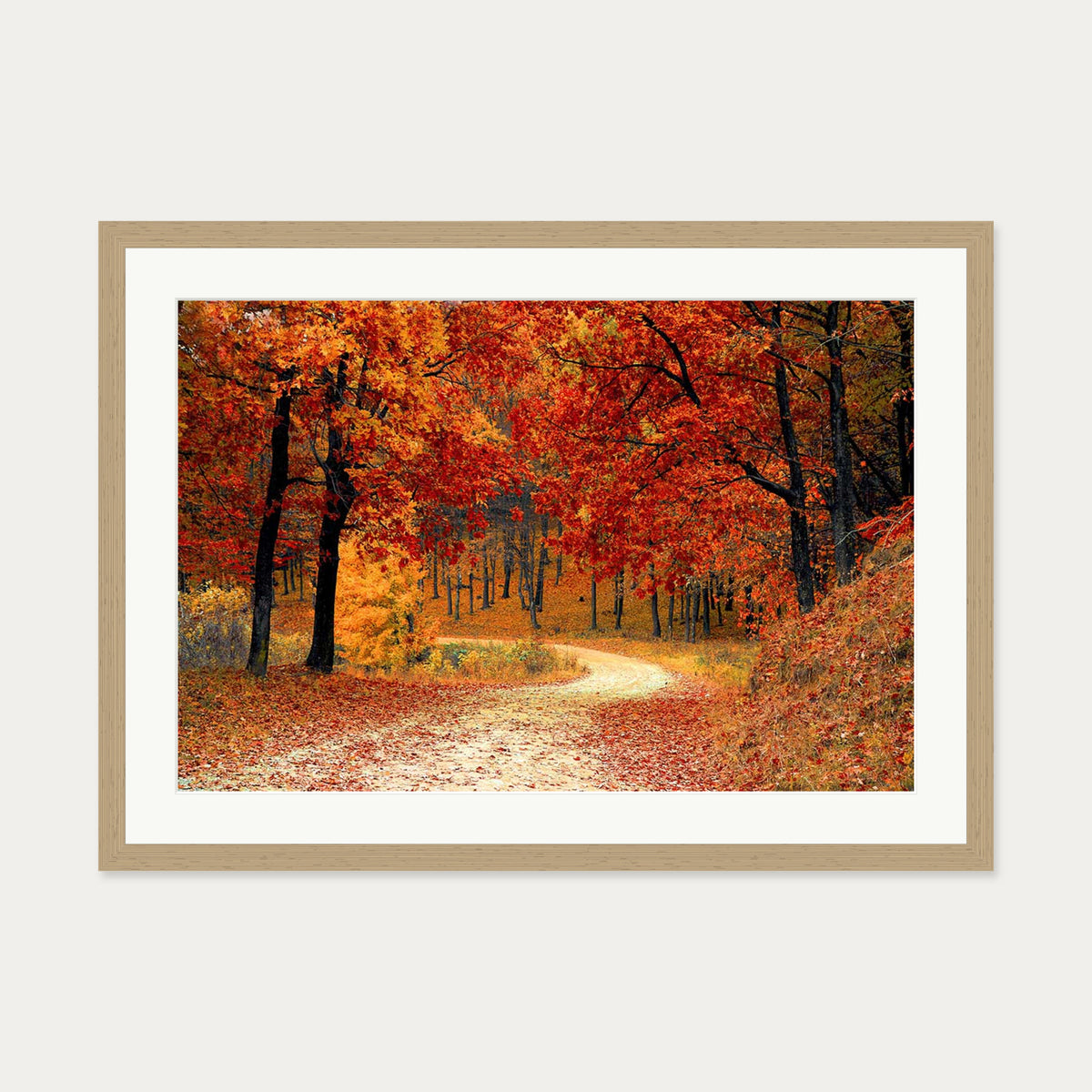 Park In The Autumn Art Print — 50 x 70 cm — Oak Frame