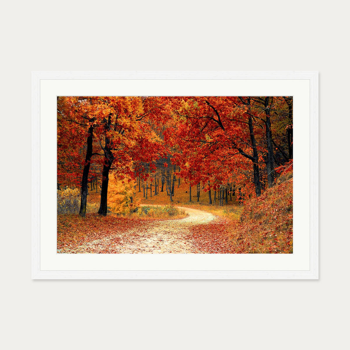 Park In The Autumn Art Print — 50 x 70 cm — White Frame