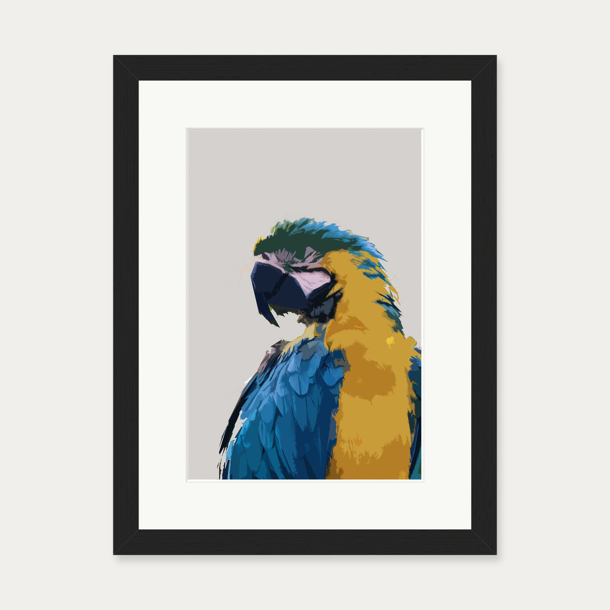 Parrot Illustrated Art Print — 30 x 40 cm — Black Frame