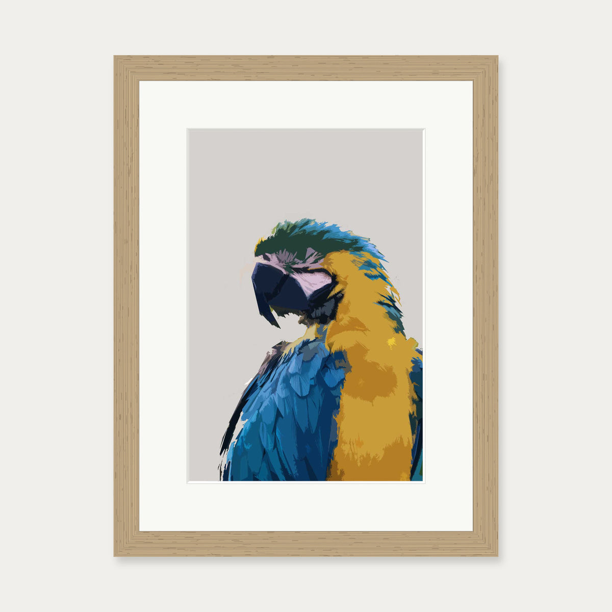 Parrot Illustrated Art Print — 30 x 40 cm — Oak Frame