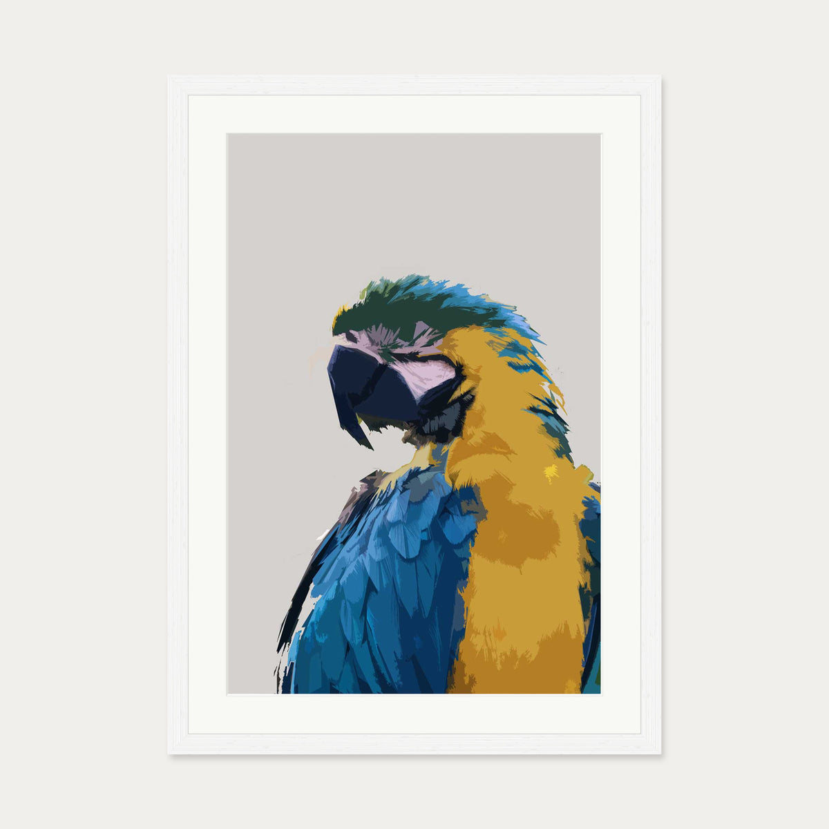 Parrot Illustrated Art Print — 50 x 70 cm — White Frame