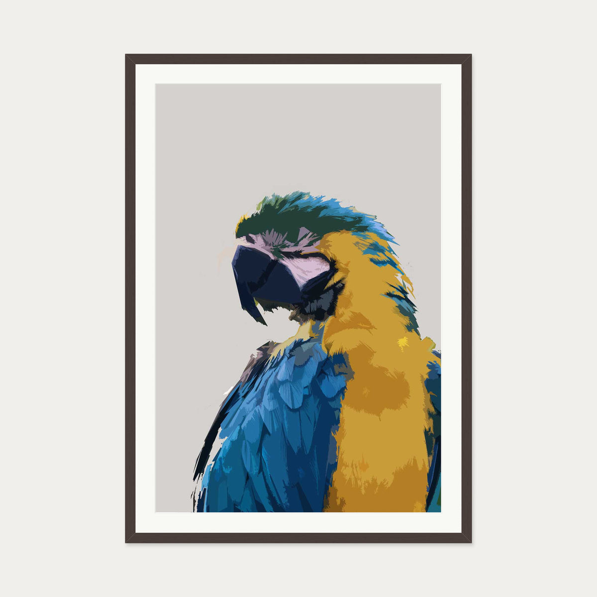 Parrot Illustrated Art Print — 70 x 100 cm — Brown Frame
