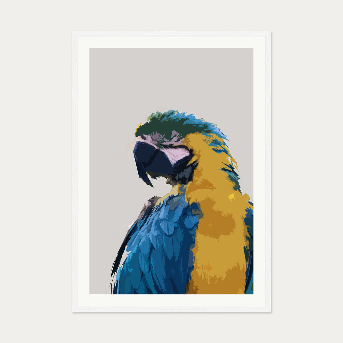 Parrot Illustrated Art Print — 70 x 100 cm — White Frame