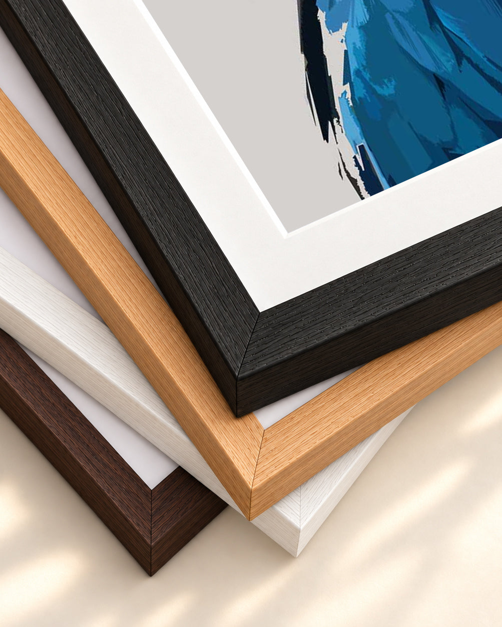 Parrot Illustrated Art Print — framed print corner with 5 cm mount and bevel