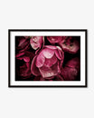 Framed artwork of pink flowers on a white background