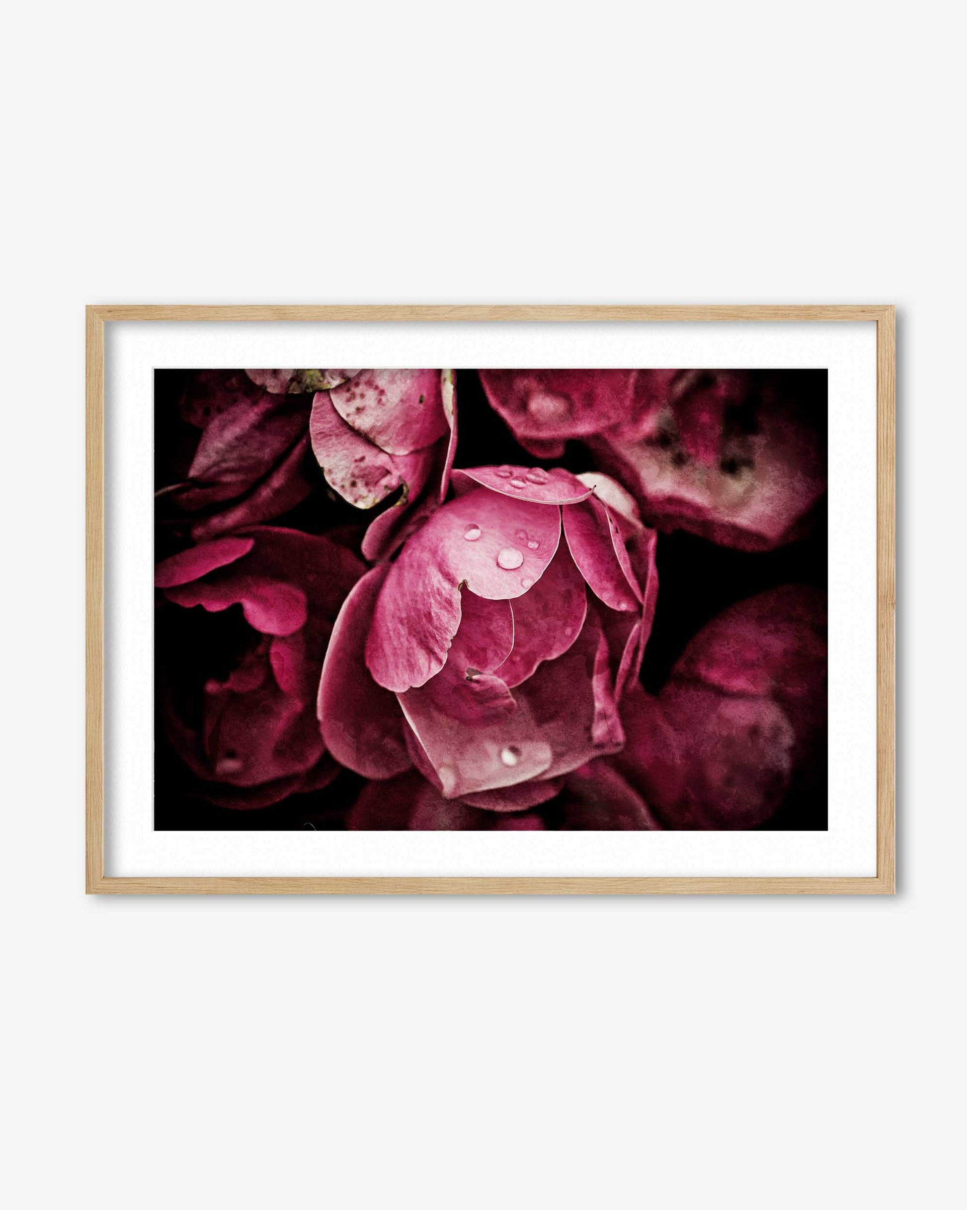 Framed artwork of pink flowers with a wooden frame on a white background