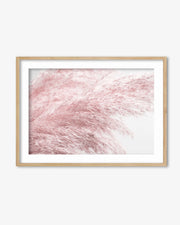 Pampass III Wall Art Print